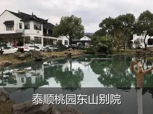 泰顺桃园东山别院